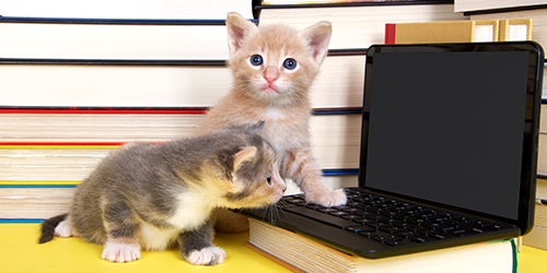 Las Tablas Animal Hospital gallery