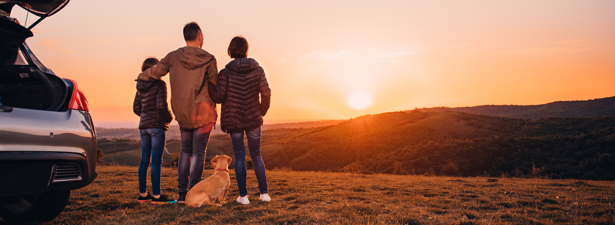 Las Tablas Animal Hospital gallery