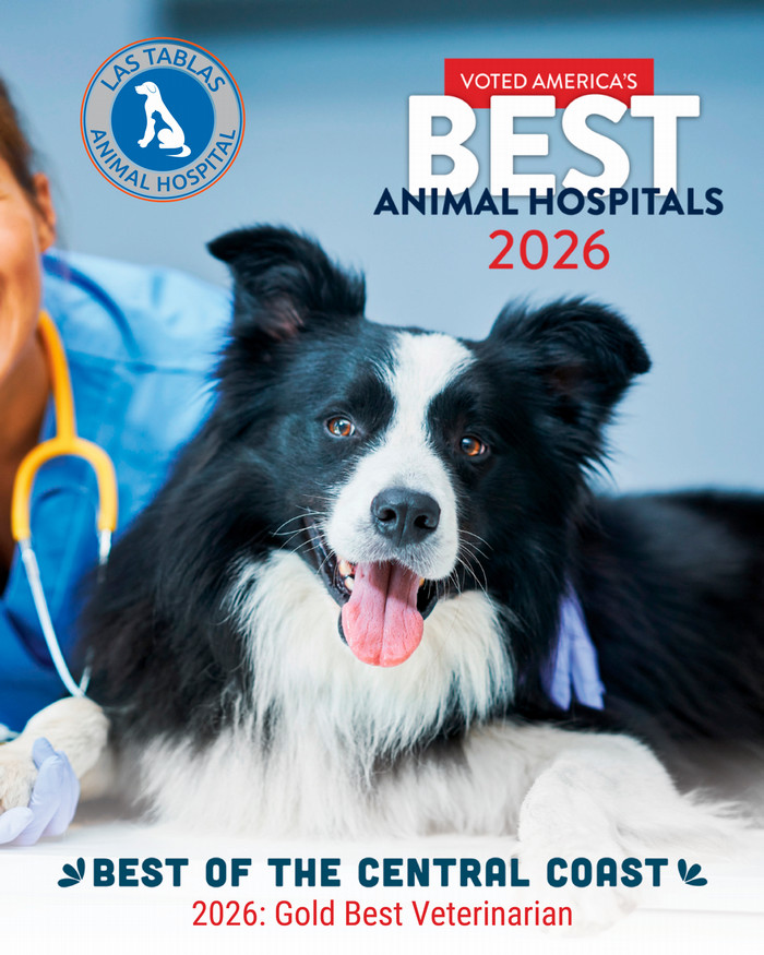 Best of the Central Coast