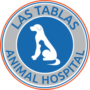 Las Tablas Animal Hospital gallery