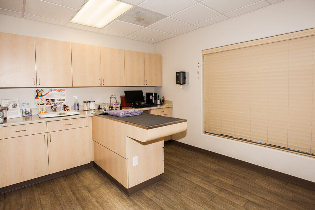 Hospital Tour Las Tablas Animal Hospital In Templeton, CA
