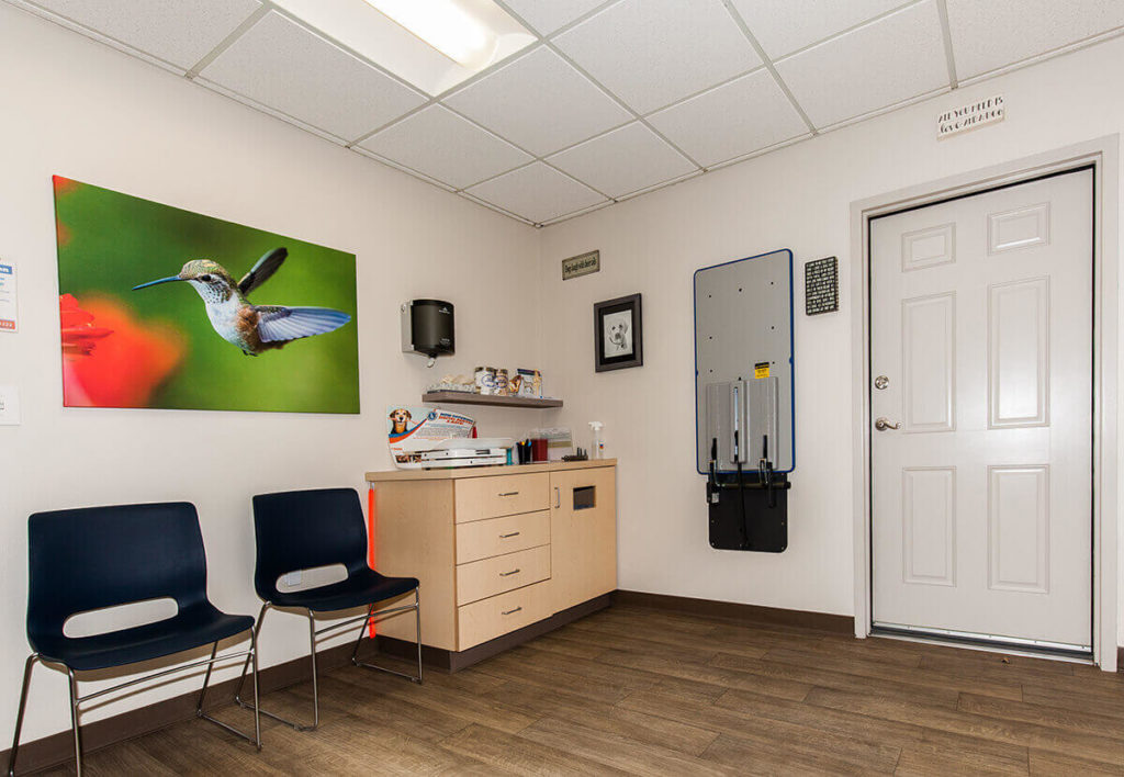 Hospital Tour Las Tablas Animal Hospital In Templeton, CA