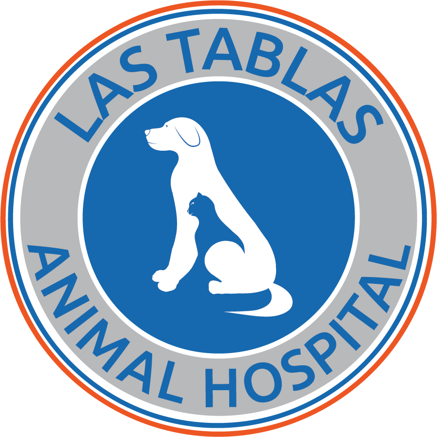 Shannon S. | Las Tablas Animal Hospital In Templeton, CA